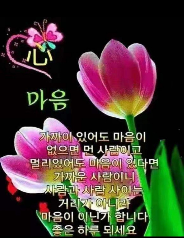 271b646bc069c50066f018cf76ead1b8_1686275549_0589.jpg